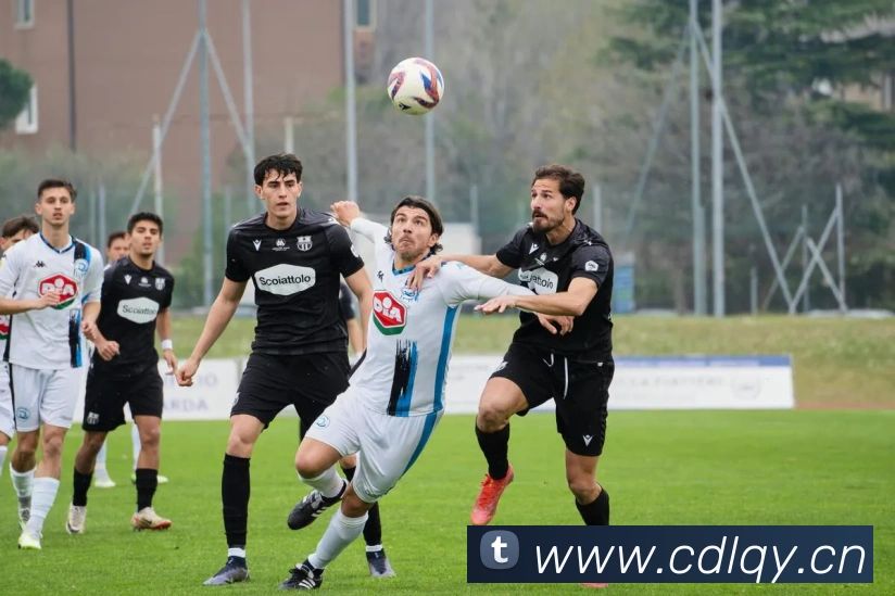 队时代开启:CBA扩军背后的战略布局与未来赛制猜想